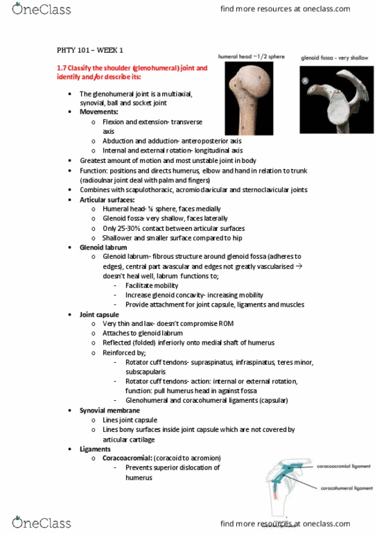 PHTY101 Lecture Notes - Lecture 1: Glenoid Labrum, Shoulder Joint, Ligament thumbnail