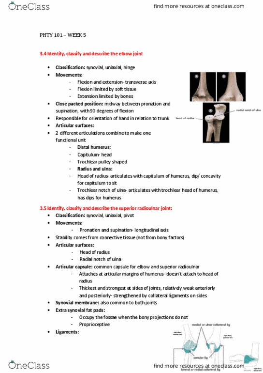 PHTY101 Lecture Notes - Lecture 5: Proximal Radioulnar Articulation, Joint Capsule, Synovial Membrane thumbnail