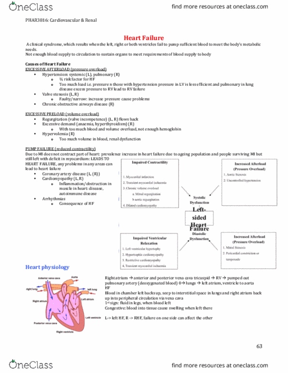 PHAR3816 Lecture Notes - Lecture 12: Inferior Vena Cava, Heart Failure, Pulmonary Artery thumbnail