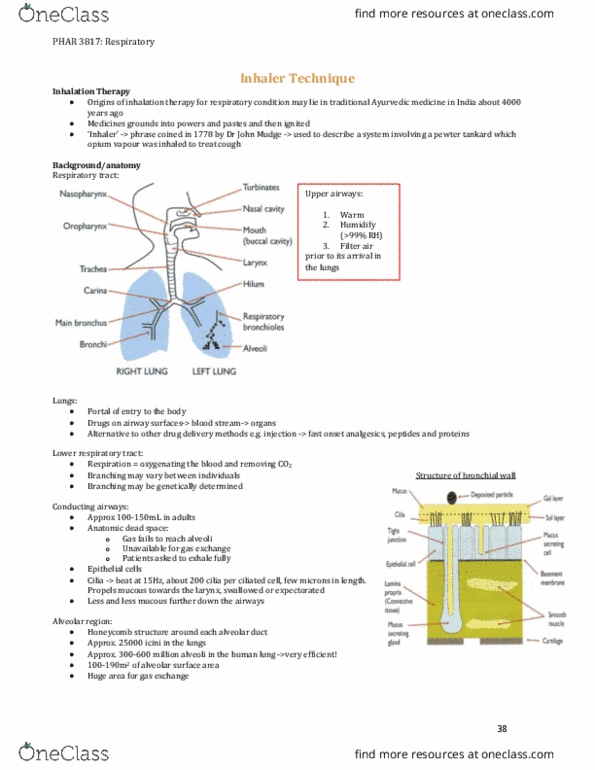 PHAR3817 Lecture Notes - Lecture 8: Obstructive Lung Disease, Restrictive Lung Disease, Ayurveda thumbnail