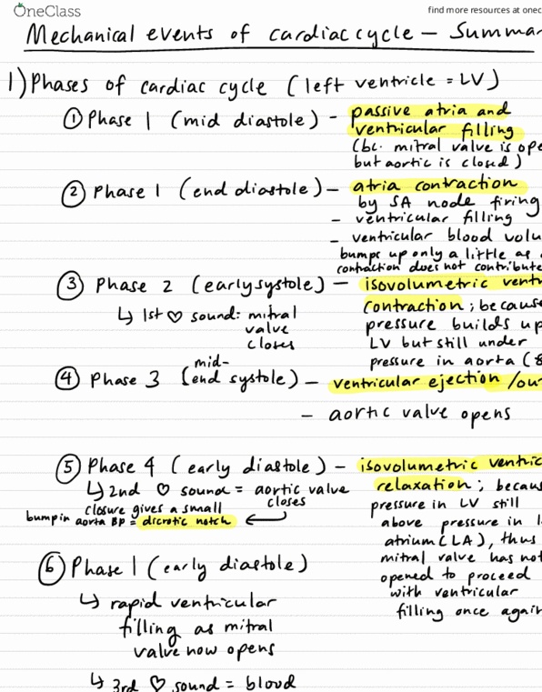 MFAC1523 Lecture Notes - Lecture 5: Aortic Valve, Isochoric Process, Diastole thumbnail