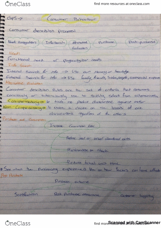 BSB126 Chapter 5: Chapter 5 review-Consumer Behaviour thumbnail