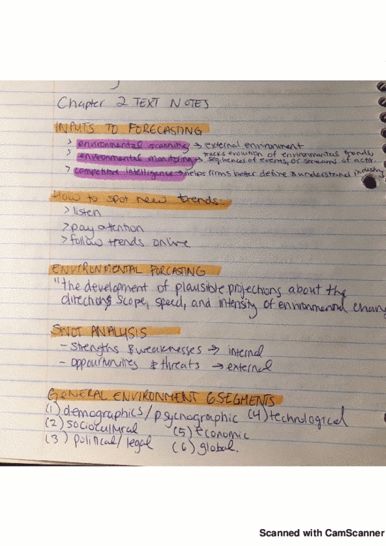 MGMT 4489 Chapter 2: strat mgmt text notes 2 thumbnail