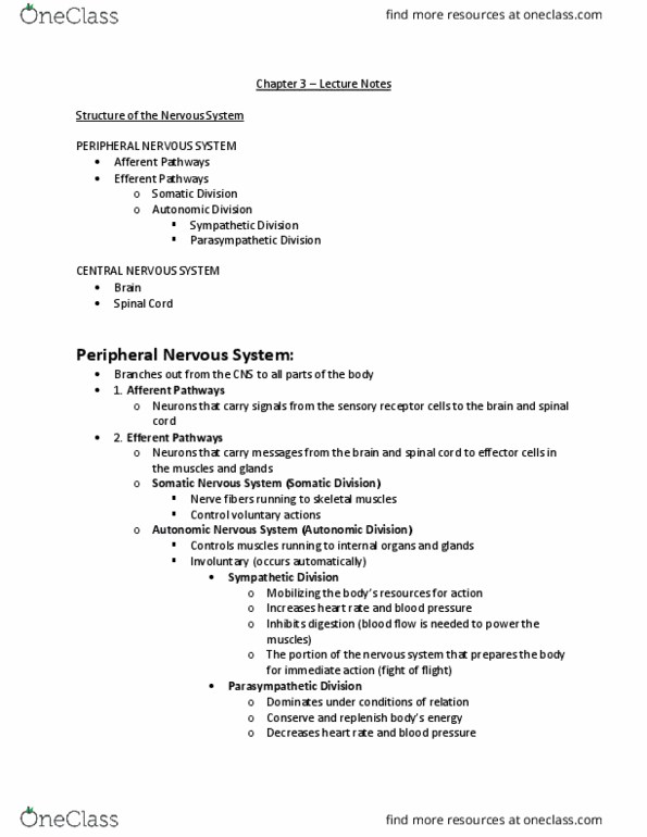 Psychology 1000 Lecture Notes - Lecture 3: Functional Magnetic Resonance Imaging, Positron Emission Tomography, Magnetic Resonance Imaging thumbnail