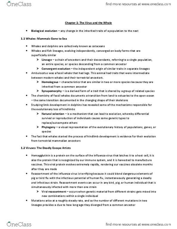 BIOL 2400 Chapter Notes - Chapter 1: Mutation, Genetic Drift, Reassortment thumbnail