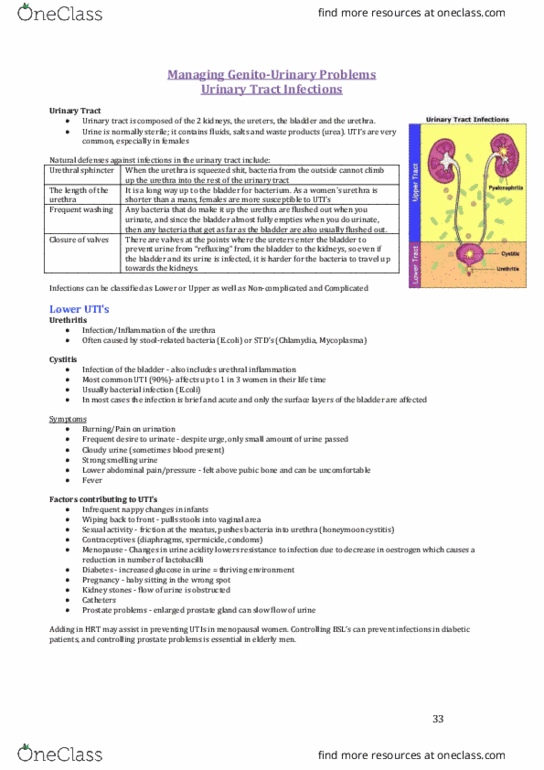 PHAR3818 Lecture Notes - Lecture 8: Urinary Tract Infection, Urethral Sphincters, Kidney Stone Disease thumbnail