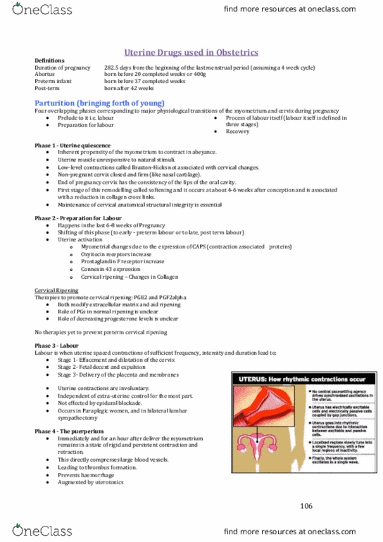 PHAR3818 Lecture Notes - Lecture 20: Prostaglandin F Receptor, Cervical Effacement, Endoscopic Thoracic Sympathectomy thumbnail