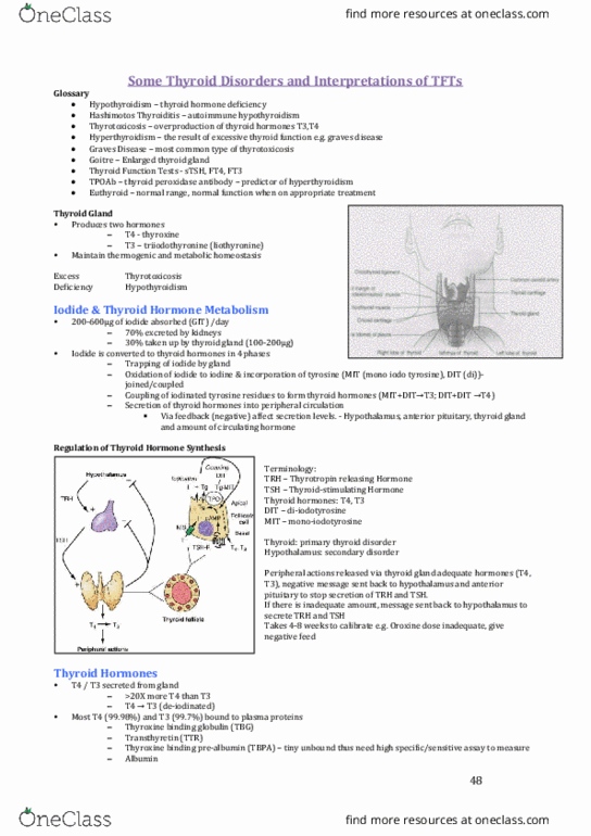 PHAR3818 Lecture Notes - Lecture 10: Thyroxine-Binding Globulin, Thyroid Peroxidase, Autoimmune Thyroiditis thumbnail