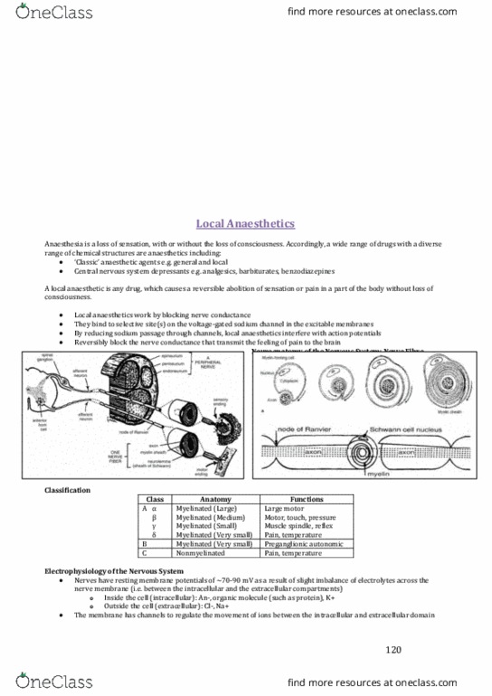 PHAR3818 Lecture Notes - Lecture 23: Sodium Channel, Local Anesthetic, Central Nervous System thumbnail