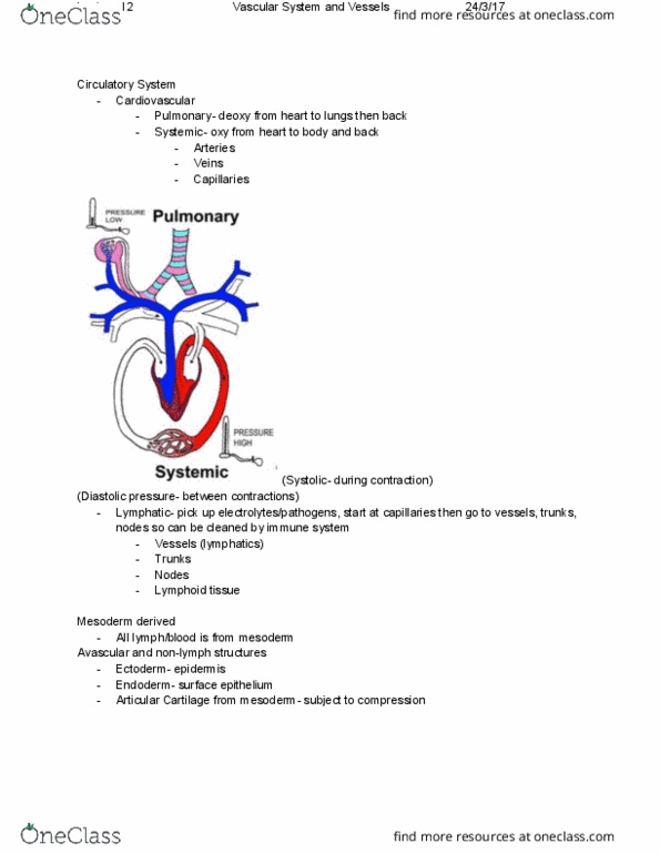 ANAT20006 Lecture Notes - Lecture 12: Lymphatic System, Endoderm, Ectoderm thumbnail