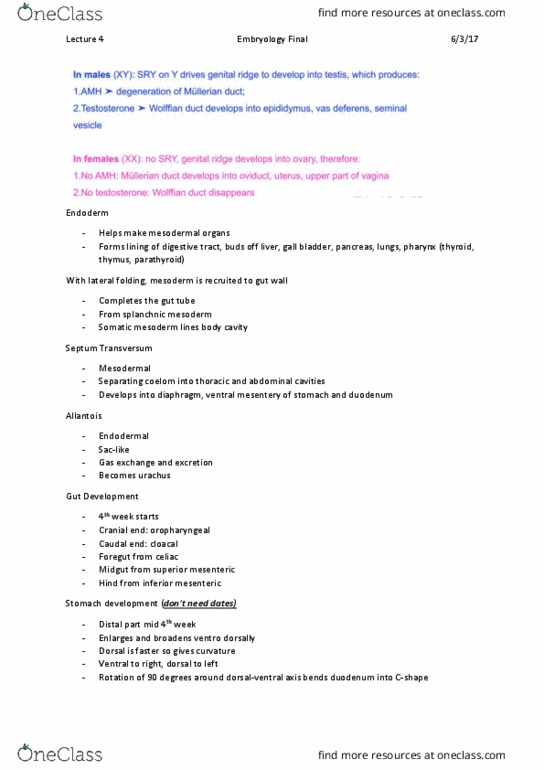 ANAT20006 Lecture Notes - Lecture 4: Lateral Plate Mesoderm, Mesentery, Urachus thumbnail
