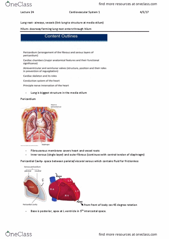 ANAT20006 Lecture Notes - Lecture 24: Intercostal Space, Central Tendon Of Diaphragm, Coronary Sinus thumbnail