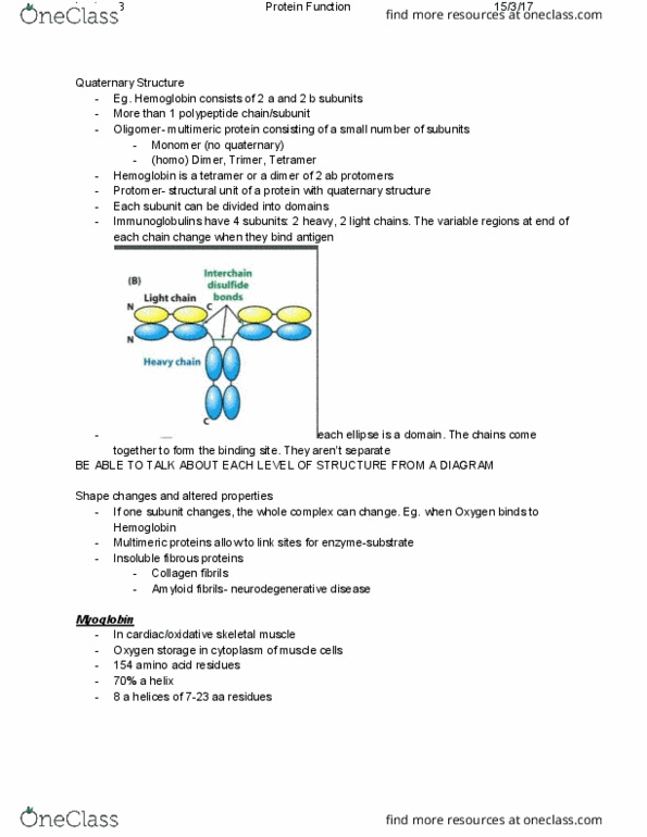 BCMB20002 Lecture Notes - Lecture 8: Neurodegeneration, Oligomer, Skeletal Muscle thumbnail