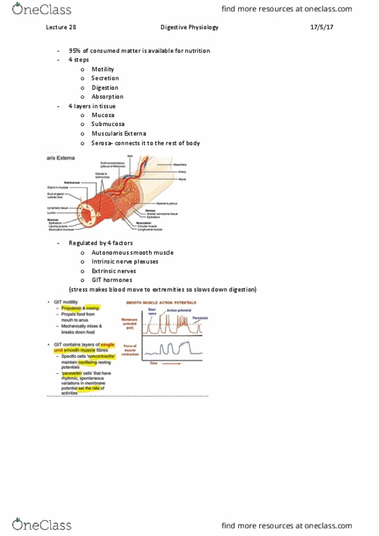 DASC20010 Lecture Notes - Lecture 28: Malocclusion, Serous Membrane, Submucosa thumbnail
