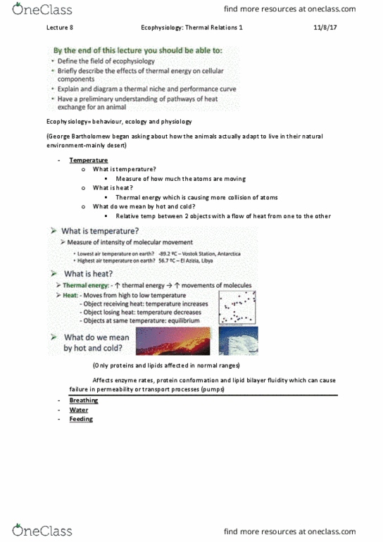ZOOL20006 Lecture Notes - Lecture 8: Ecophysiology, Lipid Bilayer, Thermal Energy thumbnail