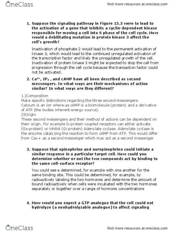 BIOL 01203 Lecture Notes - Lecture 14: Adenylyl Cyclase, Protein Kinase, Biomolecule thumbnail