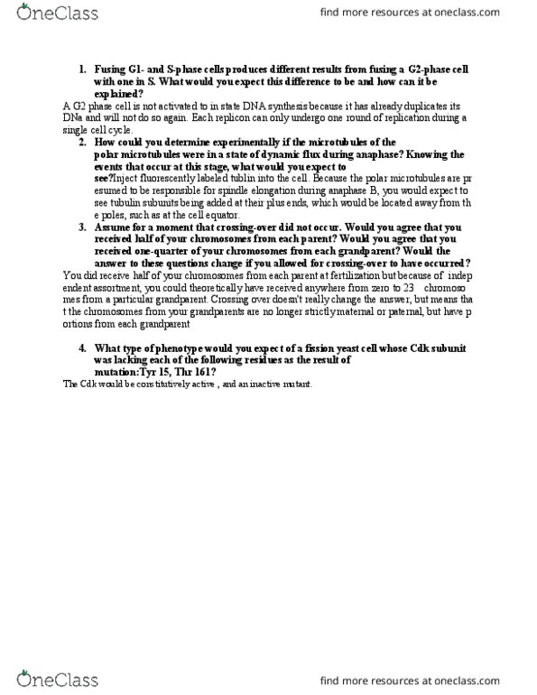 BIOL 01203 Lecture Notes - Lecture 15: G2 Phase, Microtubule, Tubulin thumbnail