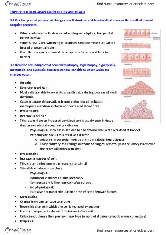 PHTY200 Lecture Notes - Lecture 3: Valvular Heart Disease, Metaplasia, Epithelium thumbnail