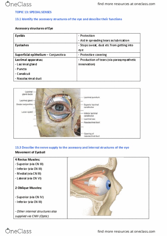 PHTY201 Lecture Notes - Lecture 11: Nasolacrimal Duct, Lacrimal Apparatus, Lacrimal Gland thumbnail