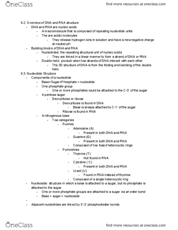 PCB 3063 Lecture Notes - Lecture 6: Francis Crick, Heterocyclic Compound, Deoxyribose thumbnail