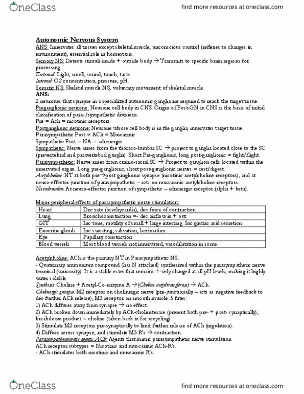 PHA3801 Lecture Notes - Lecture 8: Tyrosine, Muscarinic Acetylcholine Receptor M2, Sympathetic Ganglion thumbnail