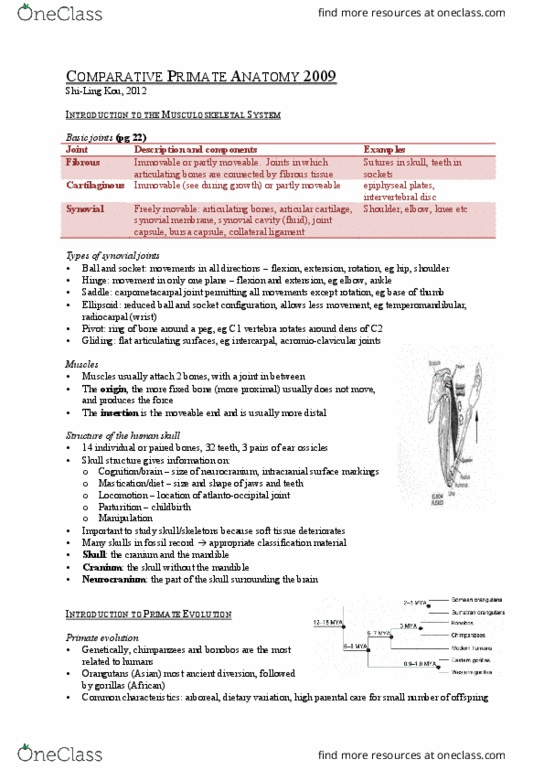 ANAT2009 Lecture Notes - Lecture 1: Orrorin, Lumbricals Of The Hand, Tibialis Anterior Muscle thumbnail