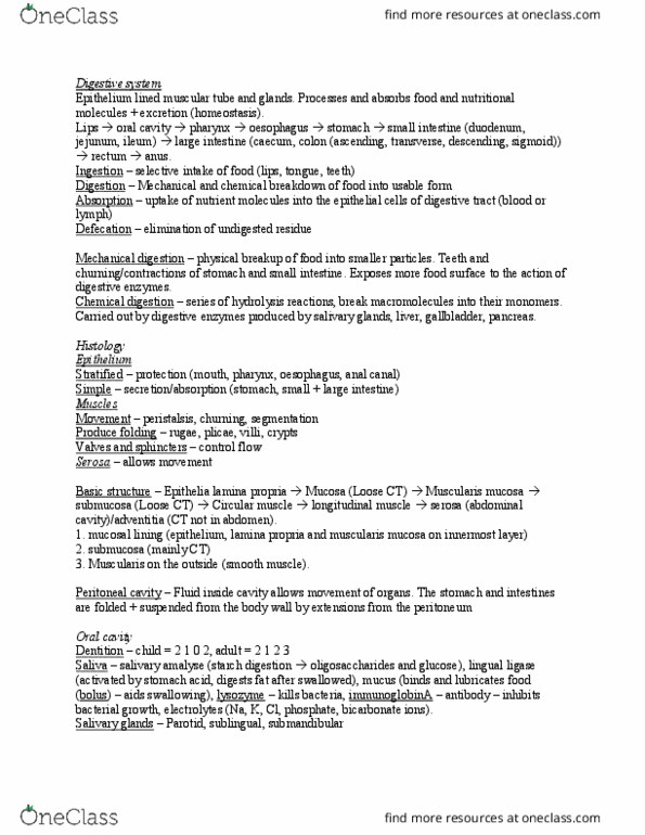 HUMB0002 Chapter Notes - Chapter 1: Ribonuclease, Blood Sugar, Glycogen thumbnail