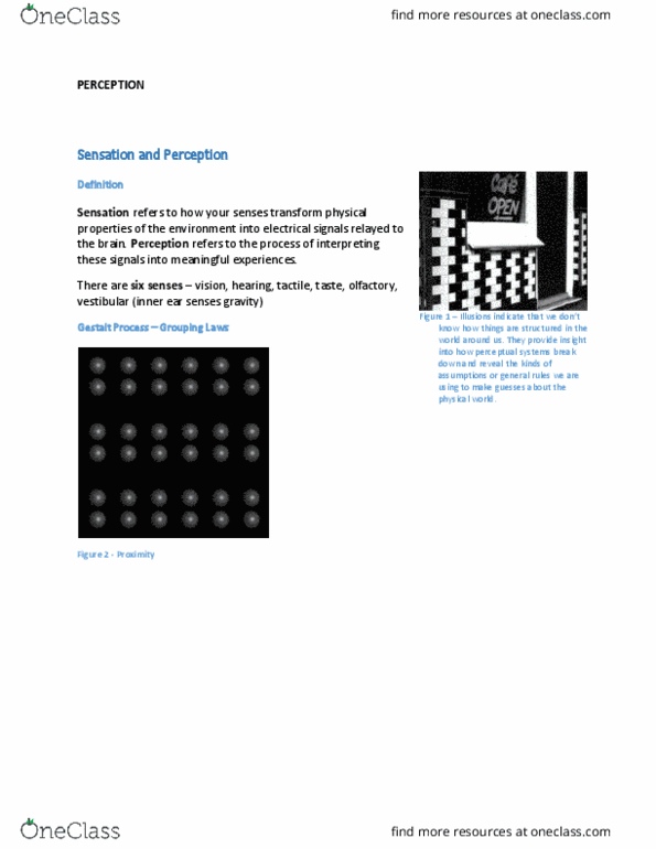 PSYC1002 Chapter Notes - Chapter Review: Spectral Power Distribution, Basilar Membrane, Semicircular Canals thumbnail