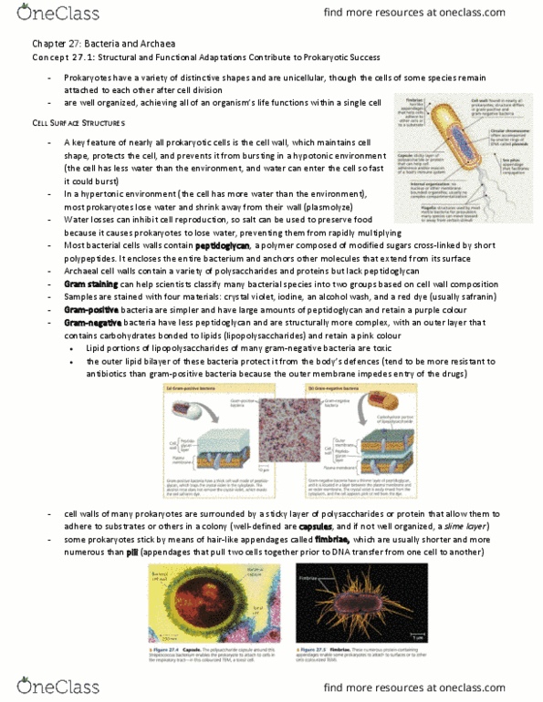 BIO153H5 Chapter Notes - Chapter 27: Anabaena, Euryarchaeota, Agrobacterium Tumefaciens thumbnail