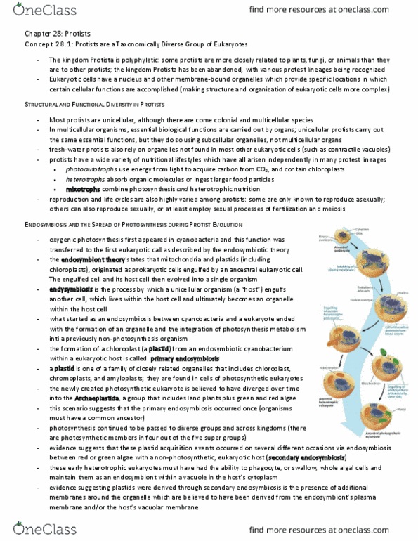 BIO153H5 Chapter Notes - Chapter 28: Genetic Variation, Vacuole, Phycoerythrin thumbnail