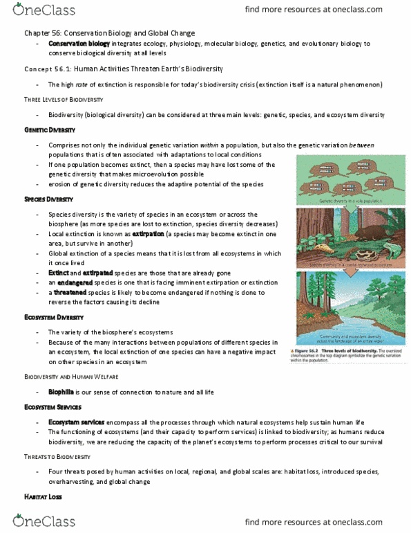 BIO153H5 Chapter Notes - Chapter 56: Ecosystem Services, Ecosystem Diversity, Ozone Depletion thumbnail
