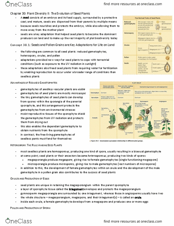 BIO153H5 Chapter Notes - Chapter 30: Plat, Eudicots, Endosperm thumbnail