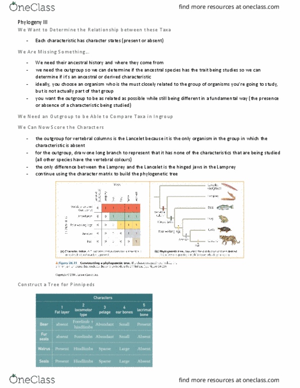 BIO153H5 Lecture Notes - Lecture 10: Phylogenetic Tree thumbnail