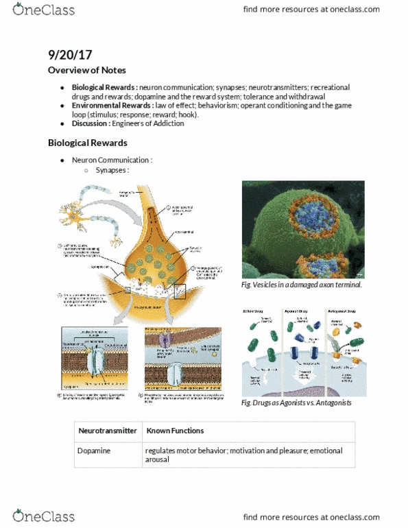 document preview image