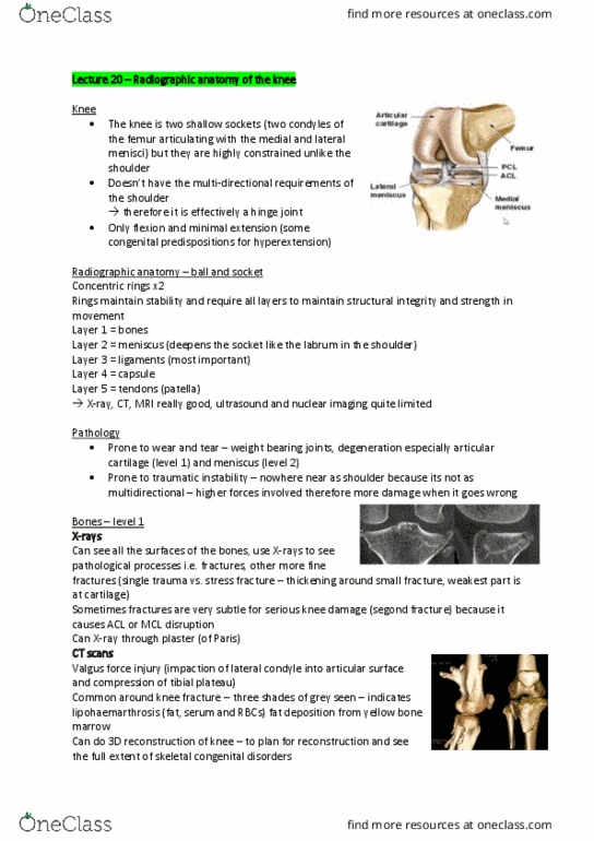 ANAT30007 Lecture Notes - Lecture 20: Network Layer, Nuclear Medicine, Sesamoid Bone thumbnail