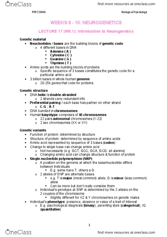 PSYC20006 Lecture Notes - Lecture 17: Haplotype, Alanine, Adenine thumbnail