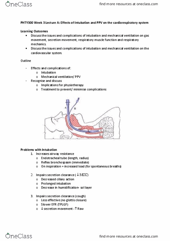 PHTY300 Lecture Notes - Lecture 3: Tracheal Tube, Necrosis, Modes Of Mechanical Ventilation thumbnail