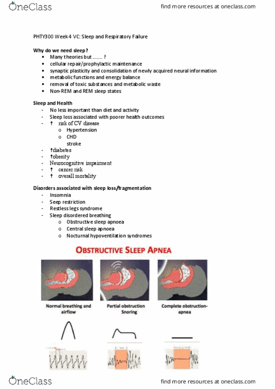 PHTY300 Lecture Notes - Lecture 4: Pulmonary Hypertension, Spirometry, Hypercapnia thumbnail