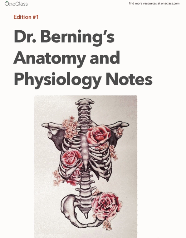 SP M 271L Lecture Notes - Lecture 50: Cardiovascular Disease, Cardiac Tamponade, Carpal Bones thumbnail