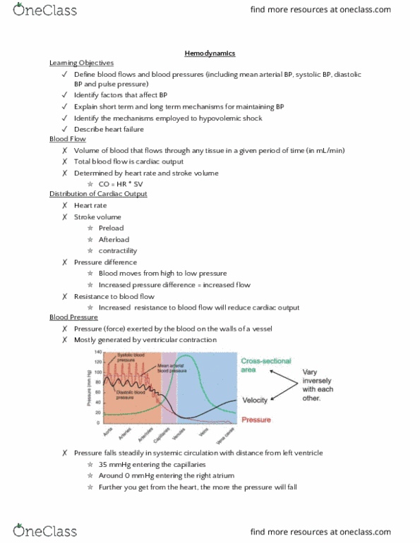 HTHSCI 1H06 Lecture Notes - Lecture 7: Blood Pressures, Aortic Body, Hyponatremia thumbnail