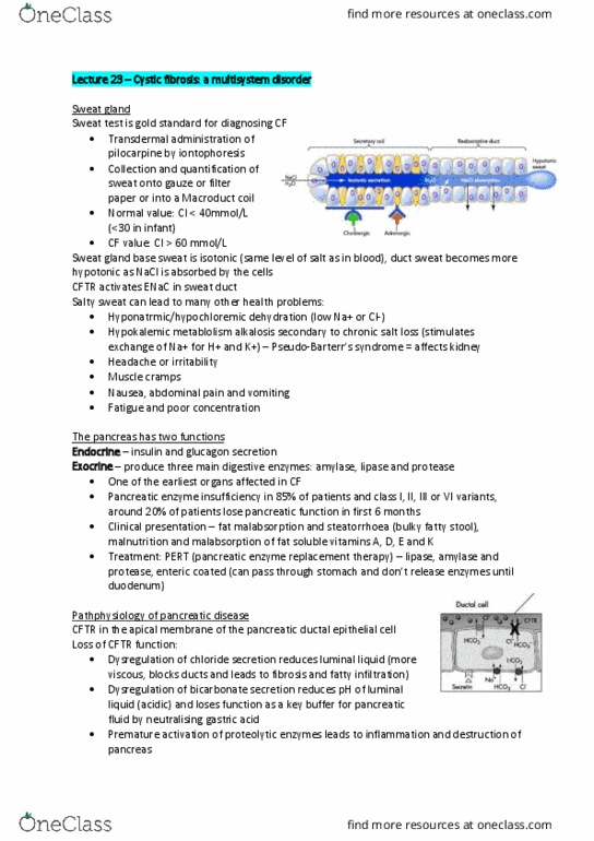 BIOM30002 Lecture Notes - Lecture 23: Malabsorption, Coeliac Disease, Nephrotoxicity thumbnail