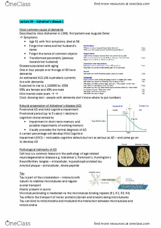 BIOM30002 Lecture Notes - Lecture 34: Amyloid Precursor Protein Secretase, Neurodegeneration, Lrp1 thumbnail