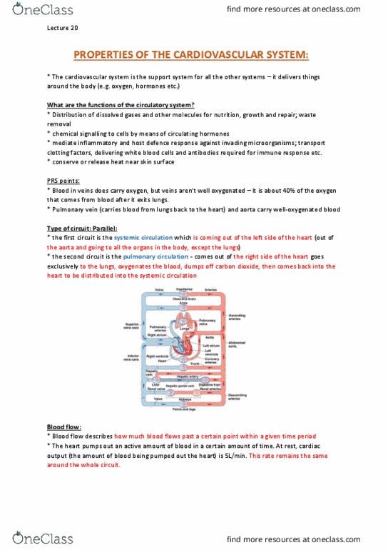 PHYS20008 Lecture Notes - Lecture 20: Pulmonary Circulation, Blood Vessel, Cardiac Output thumbnail