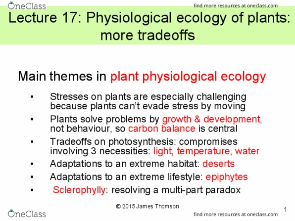 BIO120H1 Lecture Notes - Lecture 17: Pantropical, Outline Of Life Forms, Acer Saccharum thumbnail