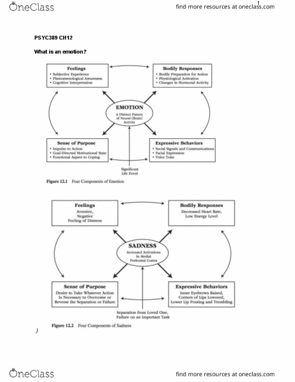 PSYC 389 Chapter Notes - Chapter 12: Emotion Classification, Appeasement, Motivation thumbnail