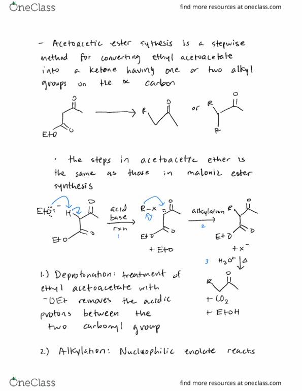 CHEM 342 Chapter Notes - Chapter 23.10: Ethyl Acetoacetate, Retrosynthetic Analysis, Alkylation thumbnail