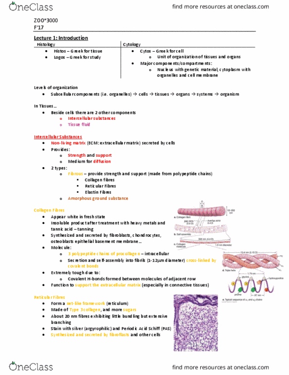 ZOO 3000 Lecture Notes - Lecture 1: Fibronectin, Synovial Fluid, Histology thumbnail