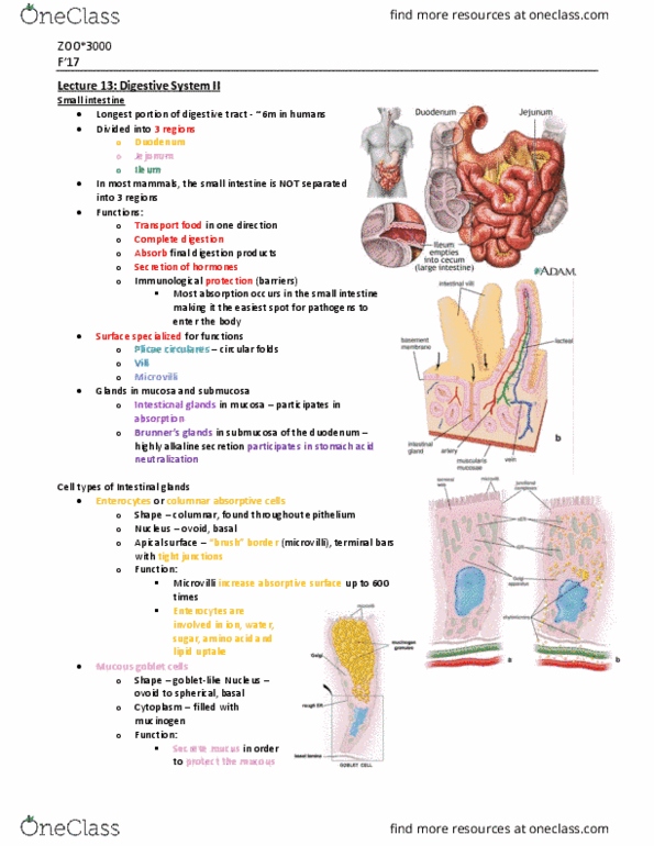 document preview image