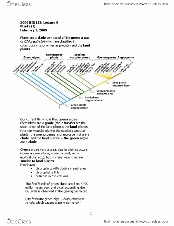 BIO153H5 Lecture Notes - Lecture 9: Red Algae, Sporophyte, Anisogamy thumbnail