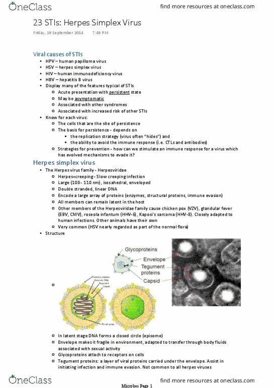 MIIM20002 Lecture Notes - Lecture 23: Plasmid, Keratin, Dorsal Root Ganglion thumbnail
